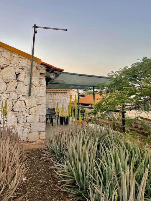 Casa Aloe Vera - Private House W/ Free Breakfast Cidade Velha 外观 照片