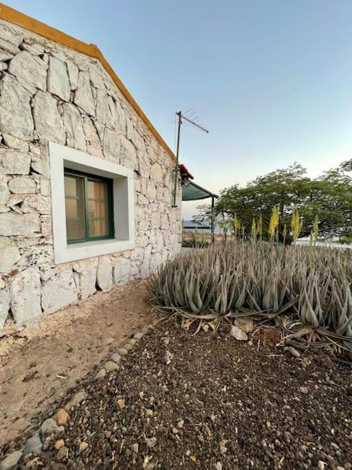Casa Aloe Vera - Private House W/ Free Breakfast Cidade Velha 外观 照片