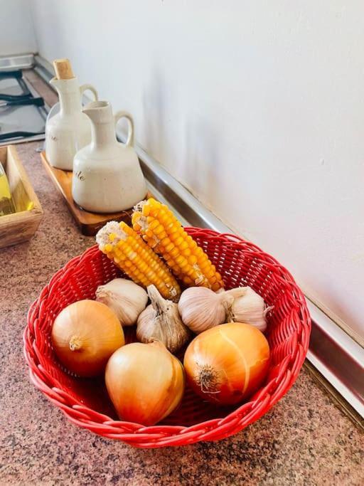 Casa Aloe Vera - Private House W/ Free Breakfast Cidade Velha 外观 照片