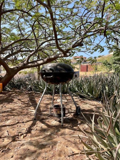 Casa Aloe Vera - Private House W/ Free Breakfast Cidade Velha 外观 照片