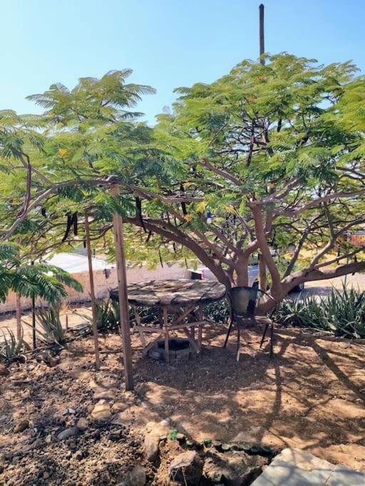 Casa Aloe Vera - Private House W/ Free Breakfast Cidade Velha 外观 照片